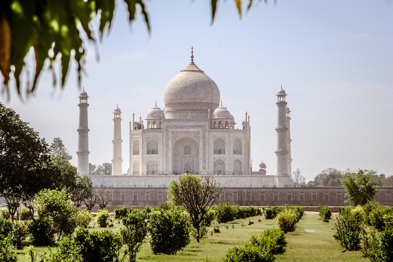 Best Cricket Betting App India 2027 Review 2026: Bonus, App, Withdrawal Tested